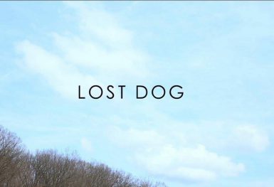 "Lost Dog"