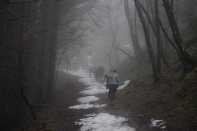 Students walking through the snowy woods
