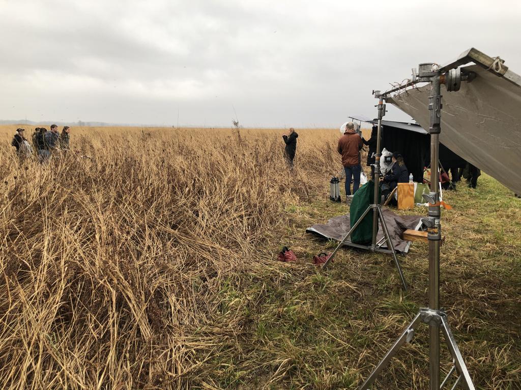 People stand in a field while filming. Camera equipment is seen in the right of the photo.