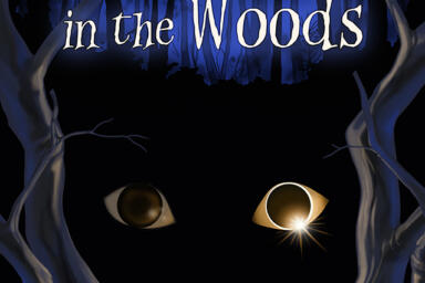 A poster of A Watcher in the Woods