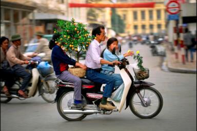 A mother, father, and daughter ride a motorbike. The daughter sits in front holding a yellow rose, and the mother sits in back holding a Kumquat tree.