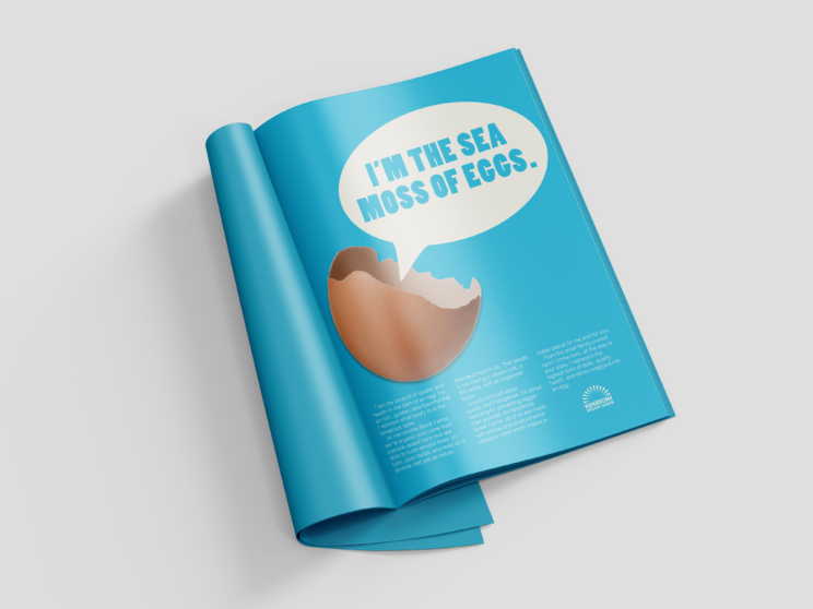 magazine ad of a broken egg that reads "I'm the sea moss of eggs." and body copy below the egg